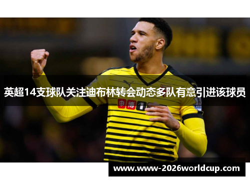 英超14支球队关注迪布林转会动态多队有意引进该球员 英超14支球队关注迪布林转会动态多队有意引进该球员