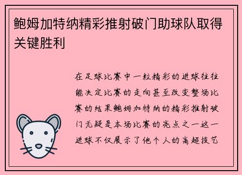 鲍姆加特纳精彩推射破门助球队取得关键胜利 鲍姆加特纳精彩推射破门助球队取得关键胜利